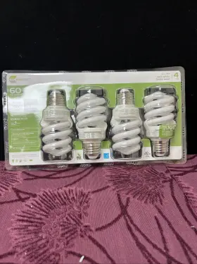 423599 ECOSMART Light Bulbs Fluorescent Spiral Pack