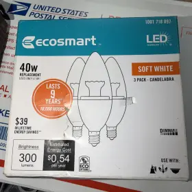840072822649 ECOSMART Pack Dimmable Candelabra Led