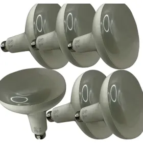 972527310099 ECOSMART Cec Dimmable Led Light Bulb