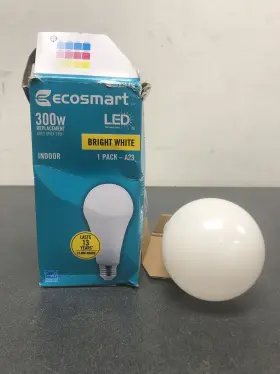 FG-04253 ECOSMART Energy Star Dimmable Led Bulb Bright