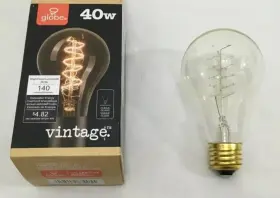 83005 EDISON Globe Electrics Twisted Filament Light