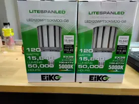 60HZ EIKO Bulbs
