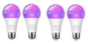 A-19 ENER-G Pack Light Bulb Uv Blacklight Level