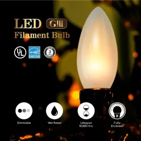 VB10-3020EF-4 EURI LIGHTING Dimmable Led Filament Equiv Cri #2