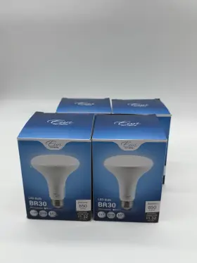 EB30-11W3050E EURI LIGHTING Led Flood Bulb Dimmable Pack