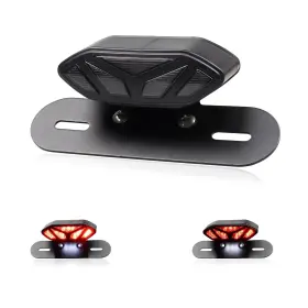 FACAI189 FACAILAHA Led Brake Taillights Atv Smoked Tail