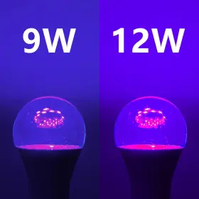 639510692384 FAGUANGAO Led Light Bulb Uv Level #2