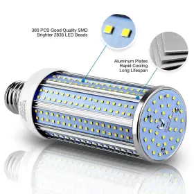 824381665241 FANNICOO Led Corn Light Bulb Base Area #3