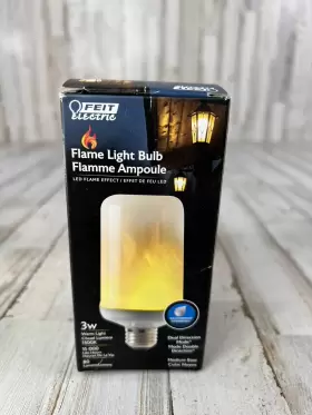 017801179859 FEIT ELECTRIC Light Bulb Led Flame Effect Dual