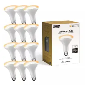 313017193123 FEIT ELECTRIC Apple Homekit Smart Wi Fi Wireless