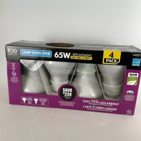 440076 FEIT ELECTRIC Reflector Conserv Energy Star Light #2
