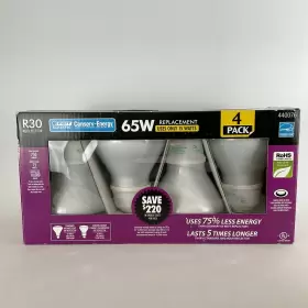 440076 FEIT ELECTRIC Reflector Conserv Energy Star Light