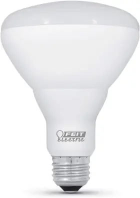 744759061973 FEIT ELECTRIC Led Bulbs Dimmable