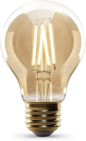 AT19-VG-LED FEIT ELECTRIC Exposed Filament Glass