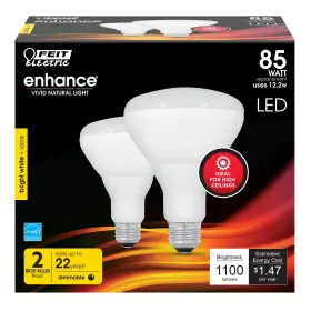 B0DG9V9SX9 FEIT ELECTRIC Led Dimmable Floodlight Bulb Base