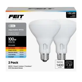 30100 FEIT ELECTRIC Led Light Bulb