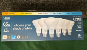 CEBR30-5CCT-6 FEIT ELECTRIC Dimmable Led Flood Light Temps