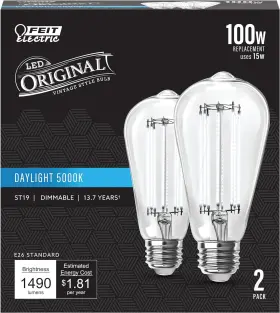 ST19100CL-950CA-2 FEIT ELECTRIC CO Edison Led Light Bulb