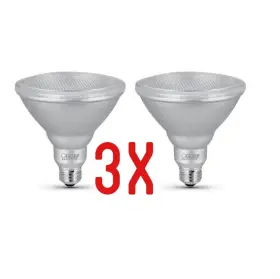 R1W1 FEIT ELECTRIC Floodlight Bulbs Energy Saver