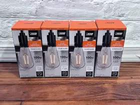 ST19100CL927CADDHD FEIT ELECTRIC Led Dawn Light Bulb