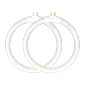 791767896301 FLYERCATCH Bulb Magnifier Desk