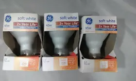 043137718011 GE Floodlight Directional Bulbs