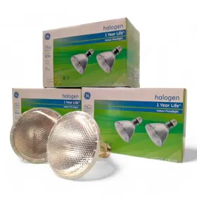 043168406819 GE Neck Floodlight Bulbs Pack