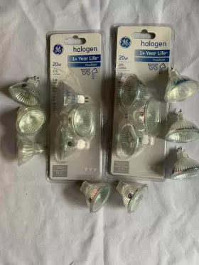 043168646819 GE Floodlight Bulb