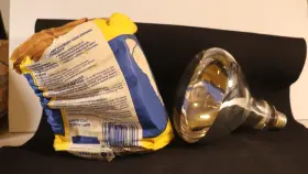 043168906746 GE Infrared Heat Lamp Light Bulb Chicks Puppies #2