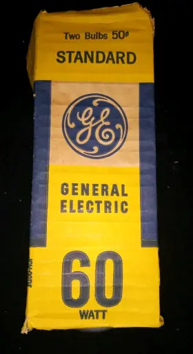 21062 GE Standard Light Bulbs Pack