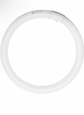 33890 GE Circline Fluorescent Light Bulb