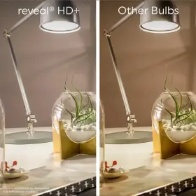 389893444383 GE Household Lighting Reveal Led Bulb