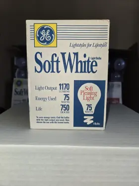 41032 GE Double Light Bulbs Pack