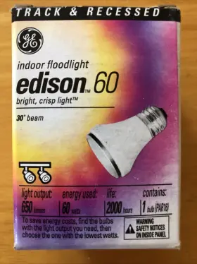41623 GE Edison Floodlight Track Recessed Recess Lighting