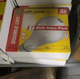 49344 GE Light Bulbs Double Pack