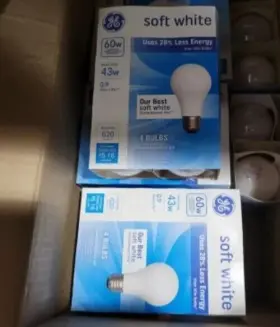 66248 GE Longer Light Bulb Energy