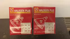 69135 GE Halogn Bulb Door Floodlight