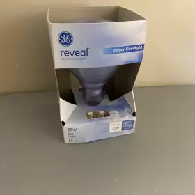 87904 GE Reveal Floodlight Directional Light