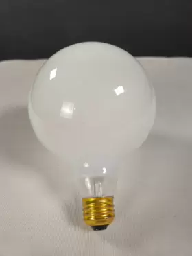 97483 GE Lighting Globe Bulb #2