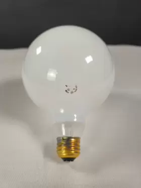 97483 GE Lighting Globe Bulb