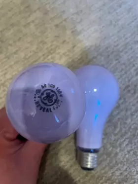 97784 GE Lighting Reveal Light Bulb