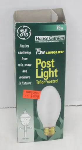 CG171G1 GE Post Light Bulb Shatter