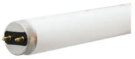 172119 GE LIGHTING Fluorescent Light Bulb Pack