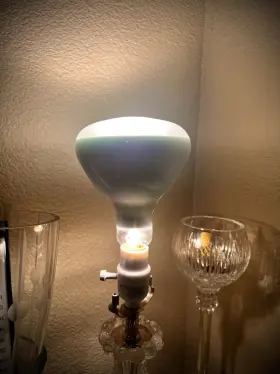 18011 GE LIGHTING Harlogen Flood Light Bulb #2