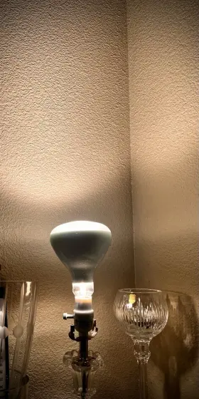18011 GE LIGHTING Harlogen Flood Light Bulb #3
