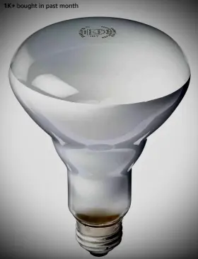 18011 GE LIGHTING Harlogen Flood Light Bulb