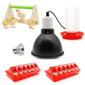 B0BXXJVXXK GIFANK Chick Feeder Waterer Heat Lamp Perch Top