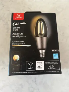 3002367 GLOBE ELECTRIC Edison Wi Fi Smart Bulb Filament Led