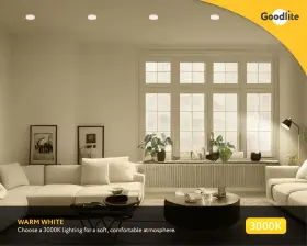 690443833763 GOODLITE Led Omni Directional Globe Light #2