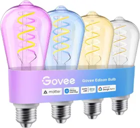 H14C0 GOVEE Edison Bulbs Smart Light Changing Tunable